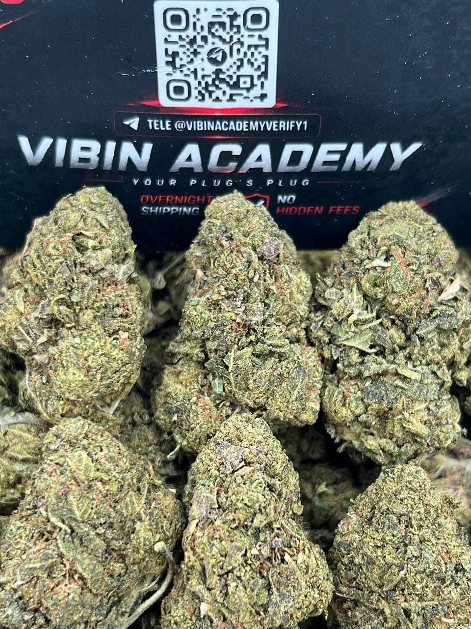 SHERB CREAM PIE#VA048